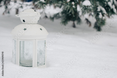 white lantern on the snow against snow-covered branches.Beautiful winter background, copy space © Alexandra