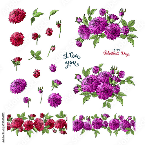 Fototapeta Naklejka Na Ścianę i Meble -  Set of multicolored dahlia floral elements isolated on white background, bouquets ,seamless brush and lettering
