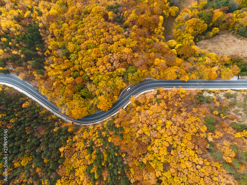 aerial view on road in autumn forest