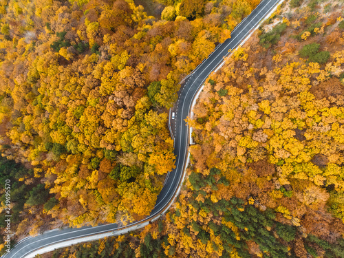 dron view on road through autumn forest