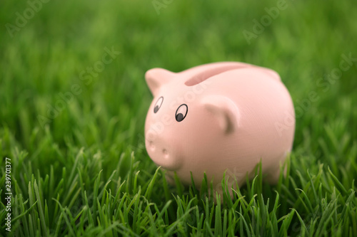Piggy bank in green grass 