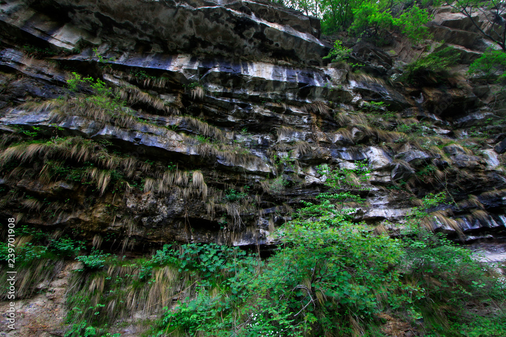Mountains fold fault landscape