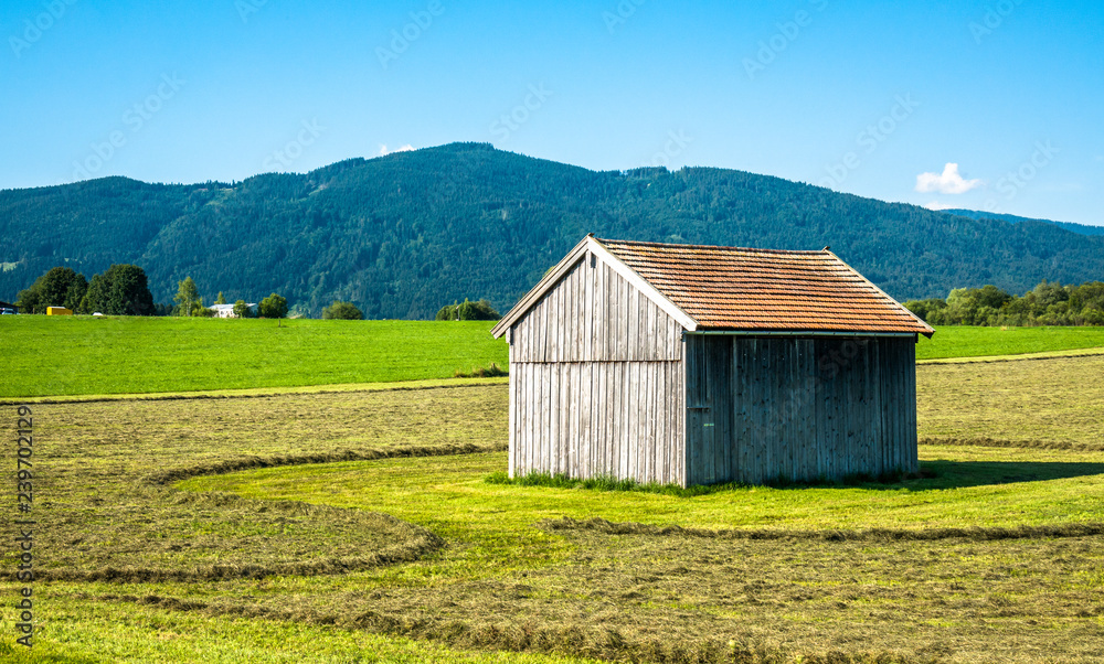 Obraz premium old hut