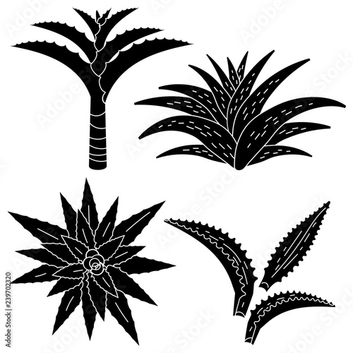 Aloe vera icon set. Simple set of aloe vera vector icons for web design on white background