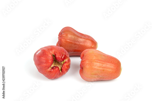 Front focus Rose apples or chomphu isolated on white background.
