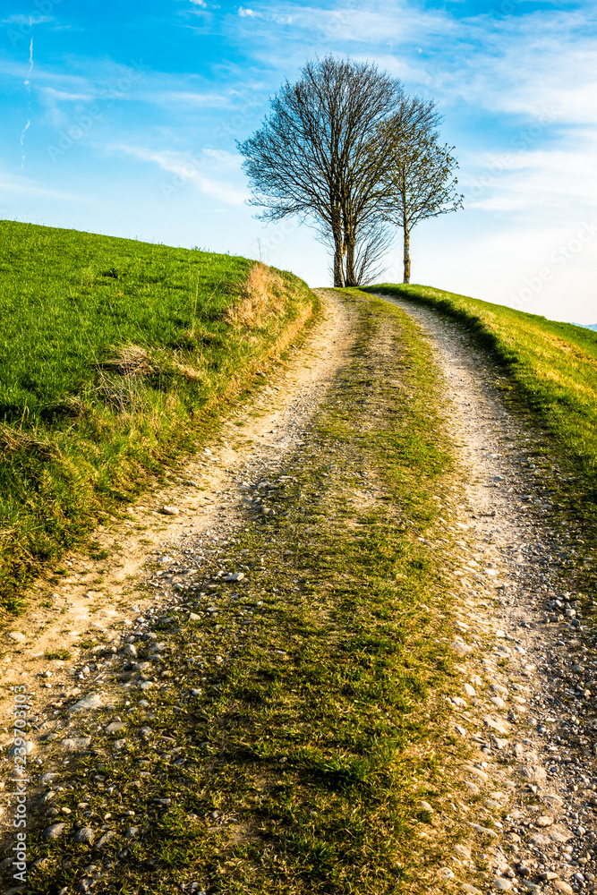 Obraz premium old road