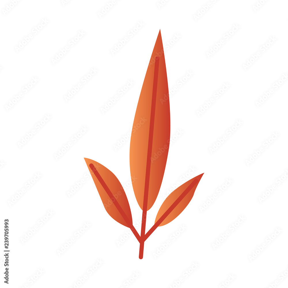 Vector illustration of autumn leaf branch - orange gradient tree foliage in flat style isolated on white background for natural seasonal design. Bright decorative fall element.