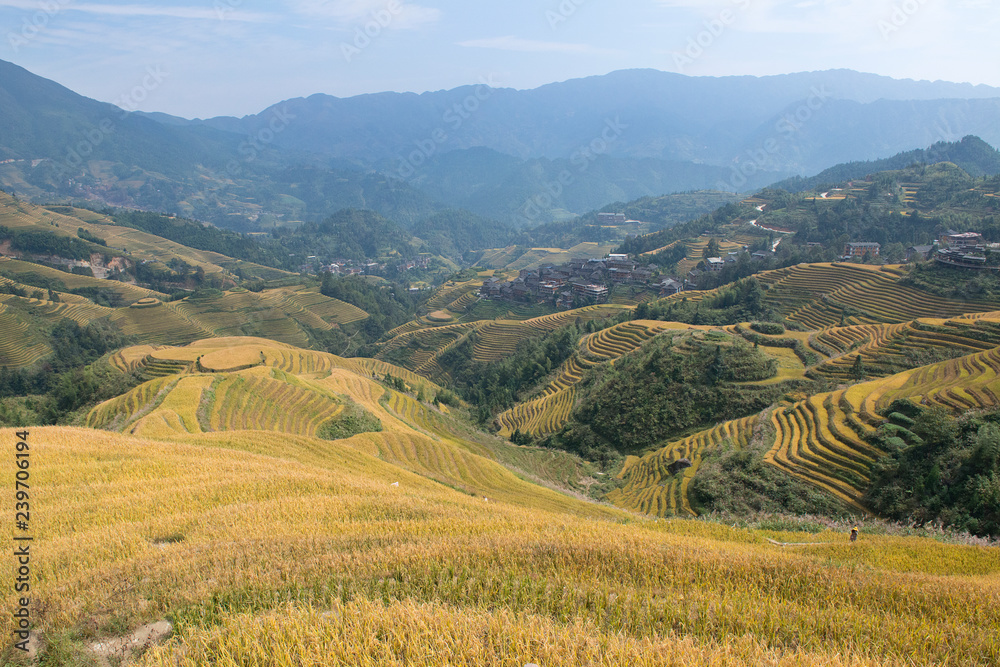  Longsheng ( Longji )  Rice Terraces Fields, Guangxi, China 