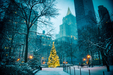 Scenic winter evening view of the glowing lights of a Christmas tree surrounded by the skyscrapers of Midtown Manhattan in Madison Square Park, New York City