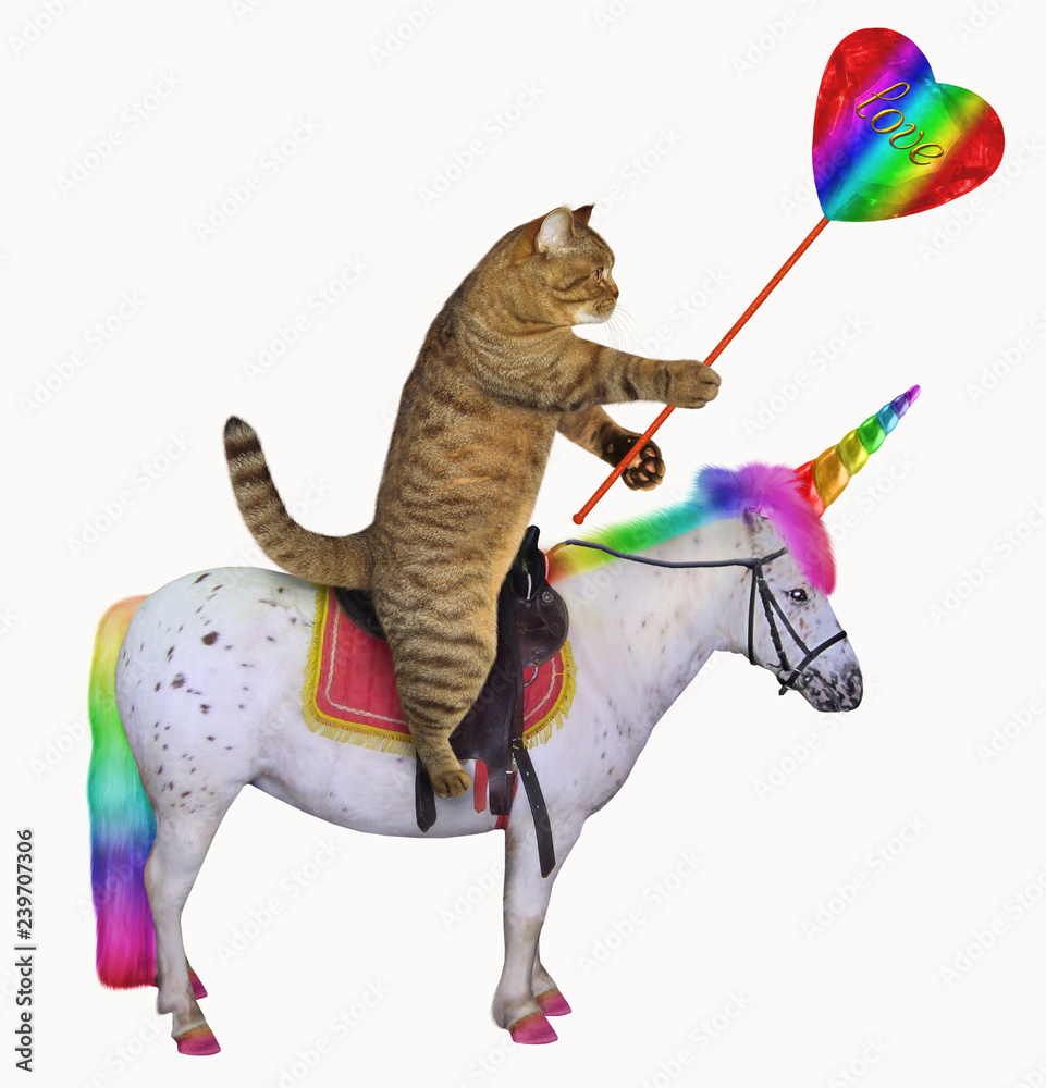 The cat with a big crystal heart is riding the real unicorn. White ...