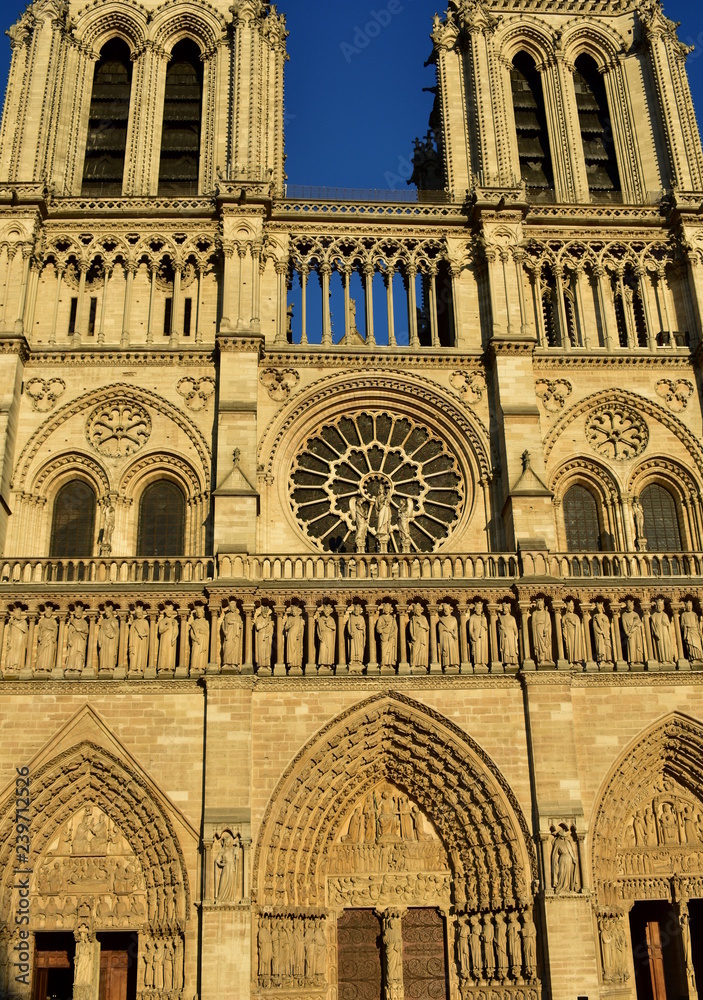 Notre Dame Cathedral, Paris, France. Gothic facade closeup with sunset light. Towers, statues, rose window, archs and doors.