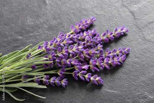 Fototapeta Naklejka Na Ścianę i Meble -  Lavender.