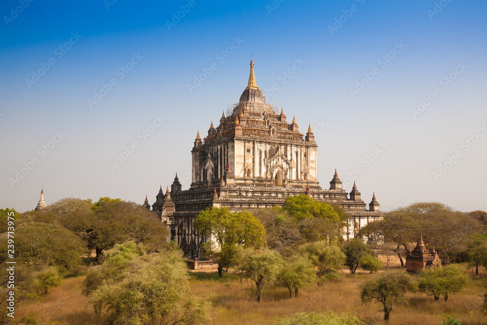 Obraz premium Myanmar. Bagan. Landscape pagodas