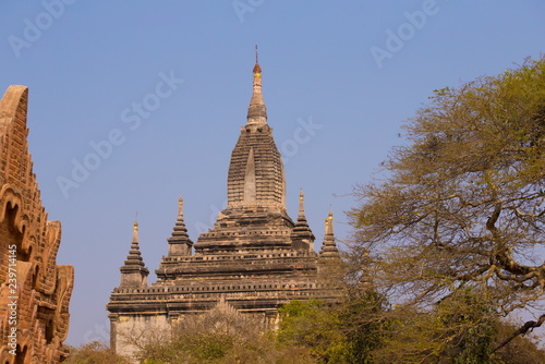 Myanmar. Bagan. Landscape pagodas © erainbow