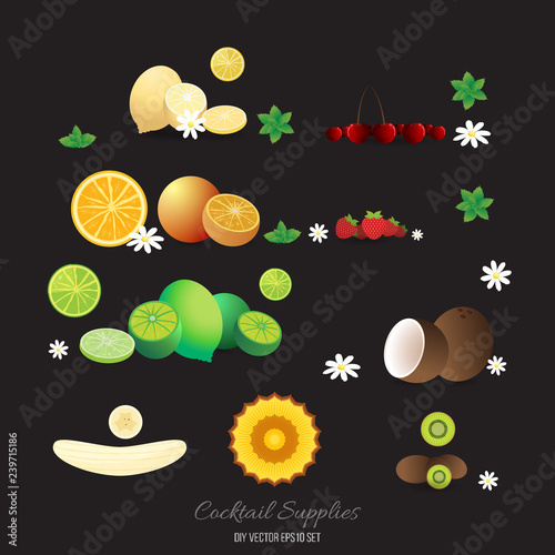 Fototapeta Naklejka Na Ścianę i Meble -  Cocktails decorations fruits set