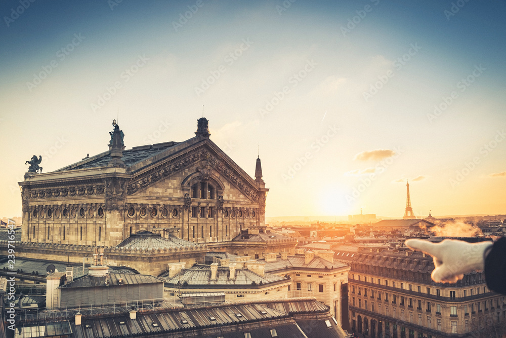 The Eiffel Tower (nickname La dame de fer, the iron lady),The tower has become the most prominent symbol of both Paris and France