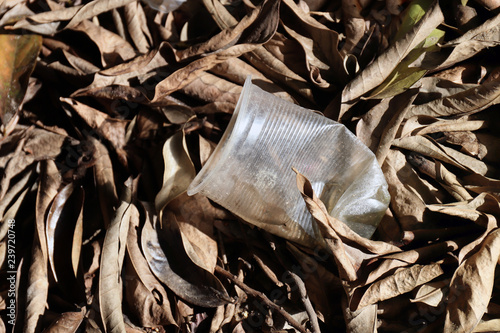 waste plastic glass garbage on ground and dry leaf brown autumn, plastic waste pollution and non-biodegradable waste, plastic cups garbage waste at nvironmental forest damage, garbage photo