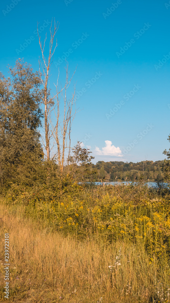 Fototapeta premium Smartphone HD wallpaper of beautiful view at Zeholfing - Isar - Bavaria - Germany