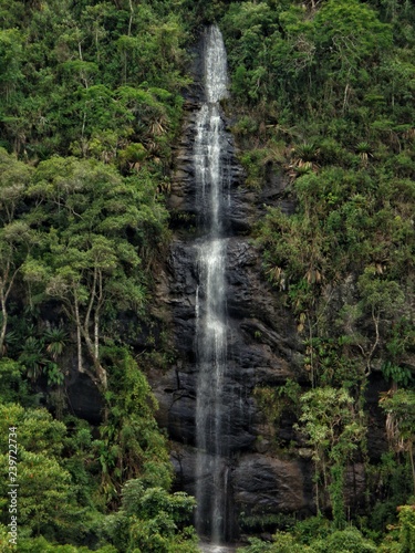 waterfall in forest