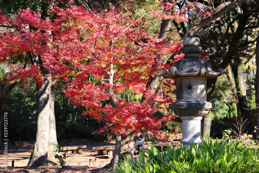 The famous Japanese garden named Rikugien