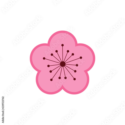 Plum blossom  national flower of taiwan
