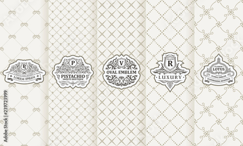 Vector set of design elements labels, icon, logo, frame, luxury packaging for the product
