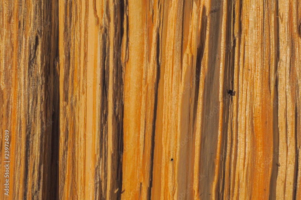 Abstract wood patterns Abstract wood patterns