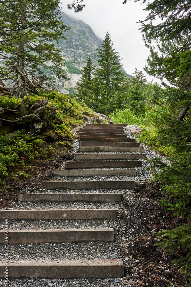 Mountain path with wooden stairs.