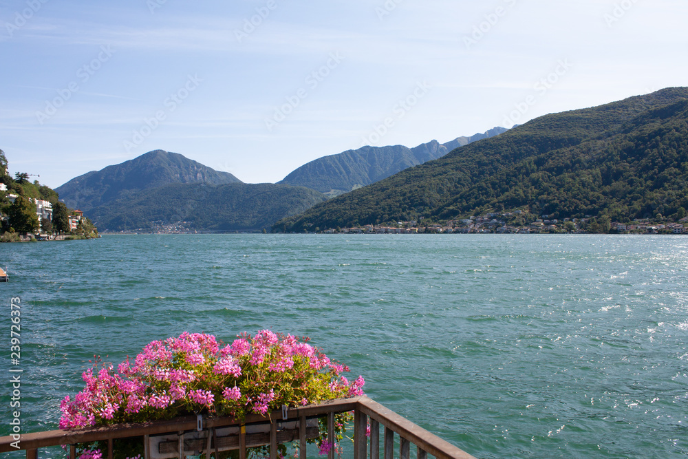 Lake Lugano at Morcote with Clear Sky with Flowers