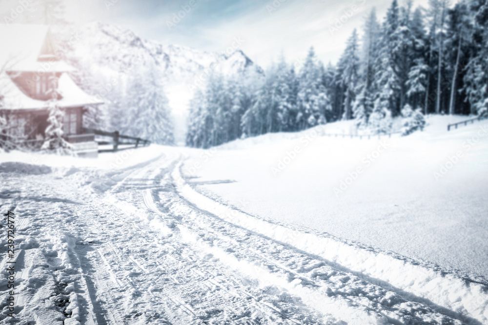 Fototapeta premium Winter road to the snow mountains 