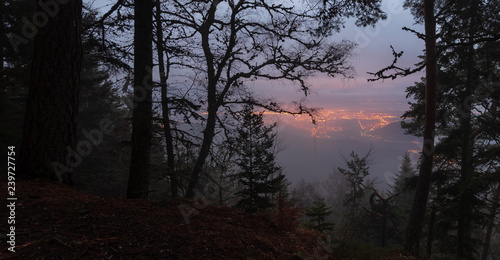Fototapeta Naklejka Na Ścianę i Meble -  La plaine d'Alsace dans la brume vue depuis le Grand Hohnack