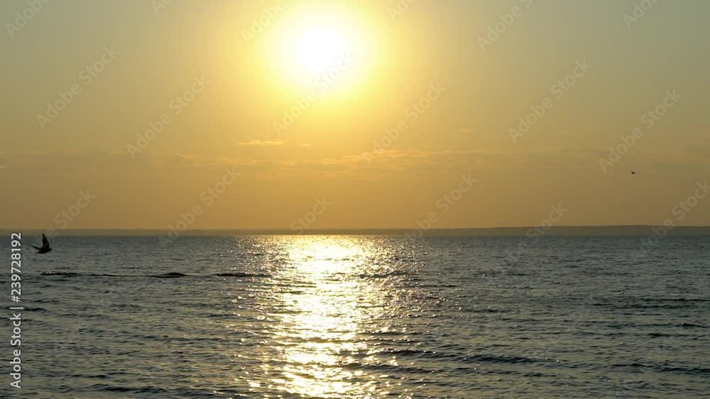 Beautiful sunset at beach, waves and seagulls birds flying. Glistening golden ocean, sea surface at sunset or sunrise over tropical beach. Sun reflections off water background. travel summer nature Beautiful sunset at beach, waves and seagulls birds flying. Glistening golden ocean, sea surface at sunset or sunrise over tropical beach. Sun reflections off water background. travel summer nature