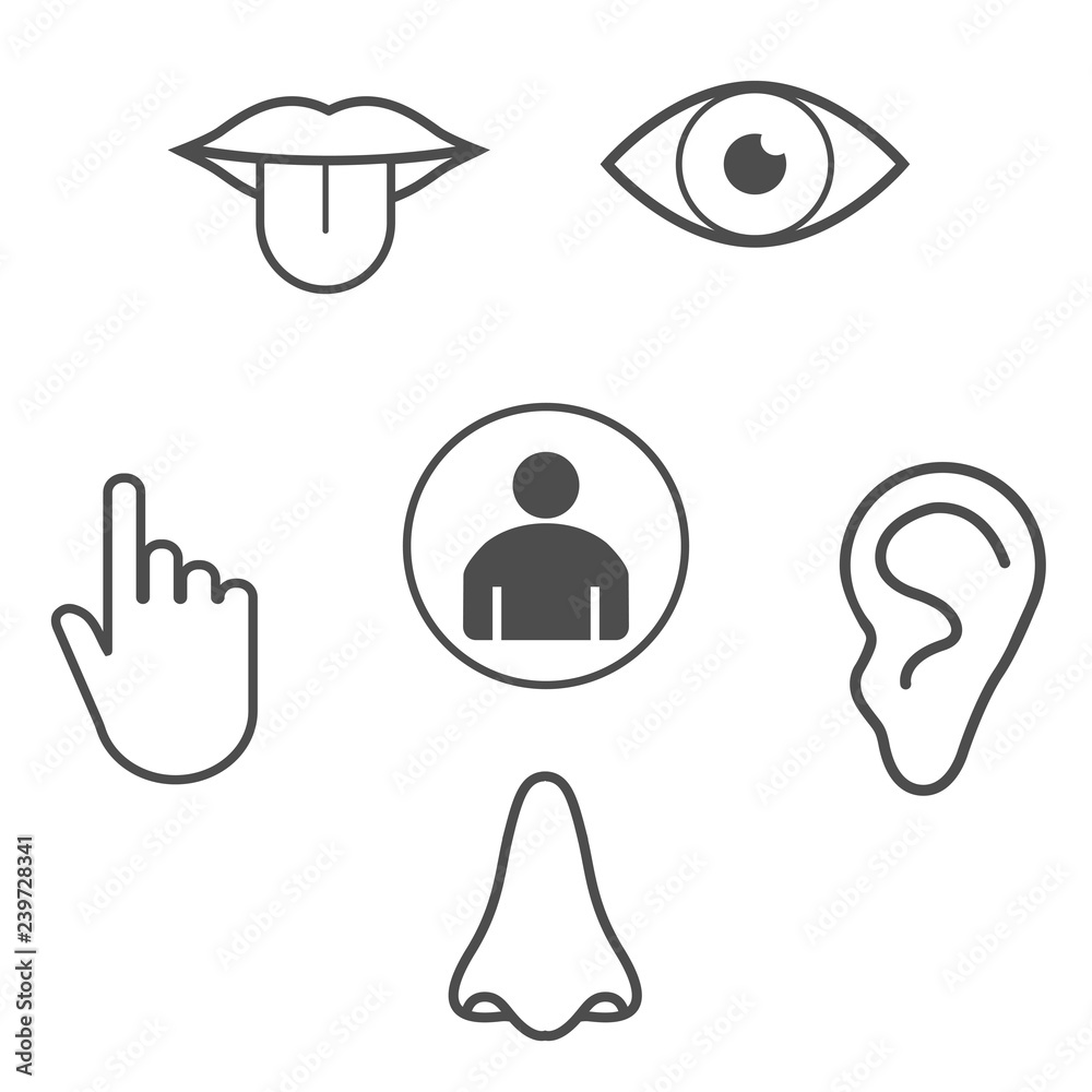 Human senses icon. Vector illustration, flat design. Human senses icon. Vector illustration, flat design.