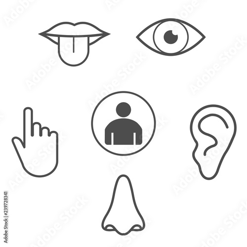 Human senses icon. Vector illustration, flat design.