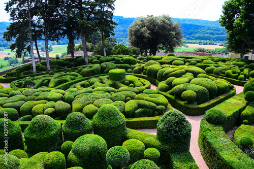 The topiary art of the magnifcent gardens of the Chateau de Marqueyssac near Vezac in the Dordogne region of France photo