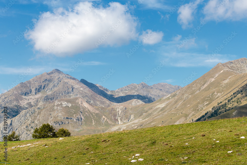 panorama dans les alpes