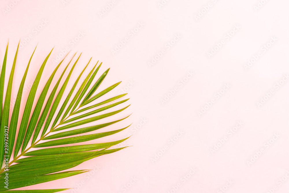 Fototapeta premium Summer flat lay scenery