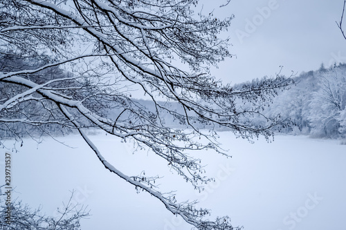 Frozen lake in the forest, covered with snow, in the foreground branches covered with snow, in the background trees covered with snow, you can see the sky, daytime, beautiful nature, winter in forest