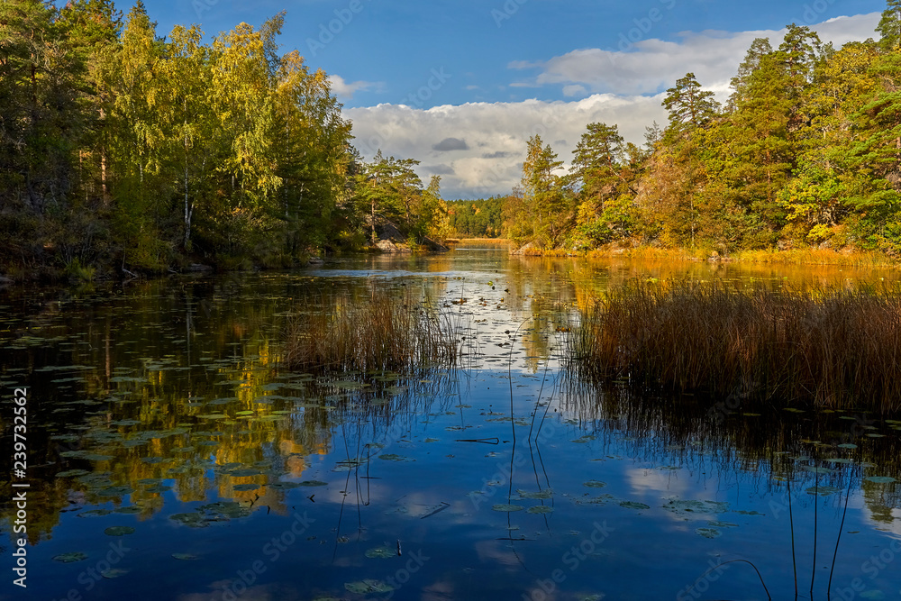 Autumn at the lake - Sweden, Stockholm, around the Bagarmossen district