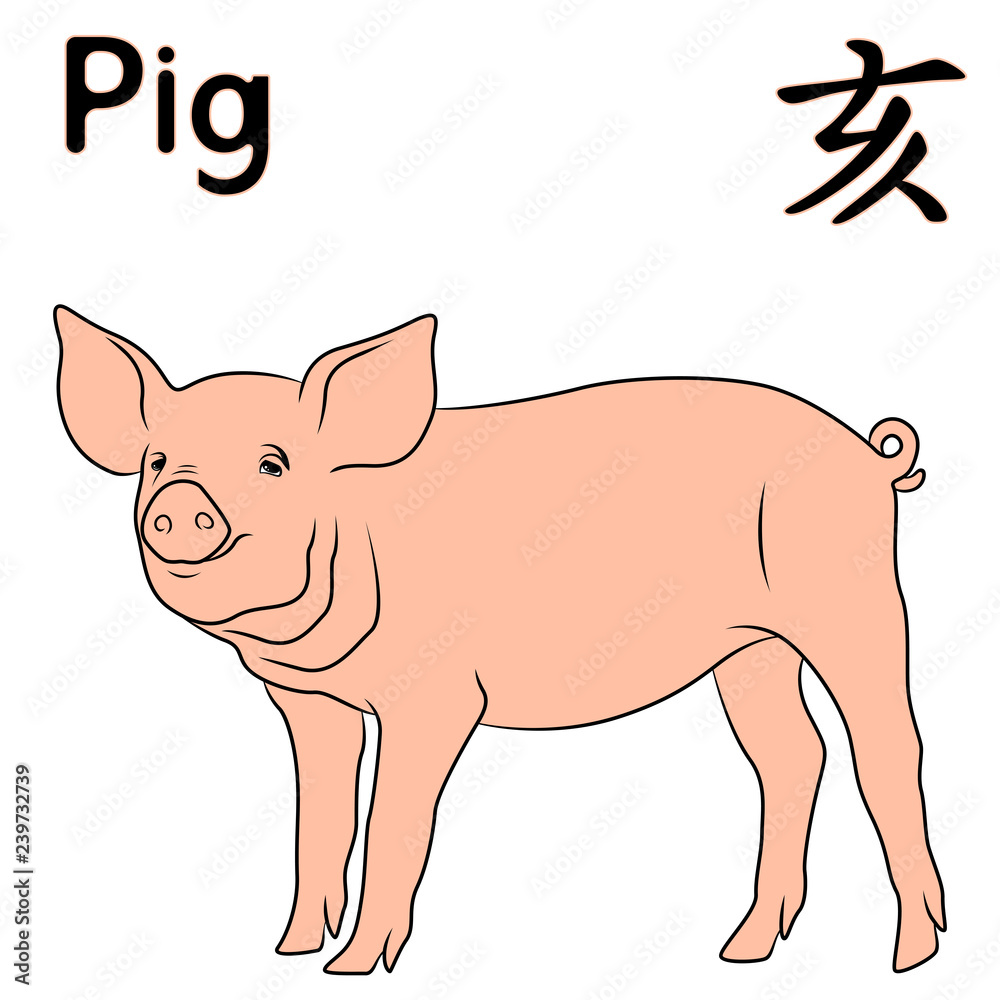 Chinese Zodiac Symbol Pig Chinese Zodiac Symbol Pig
