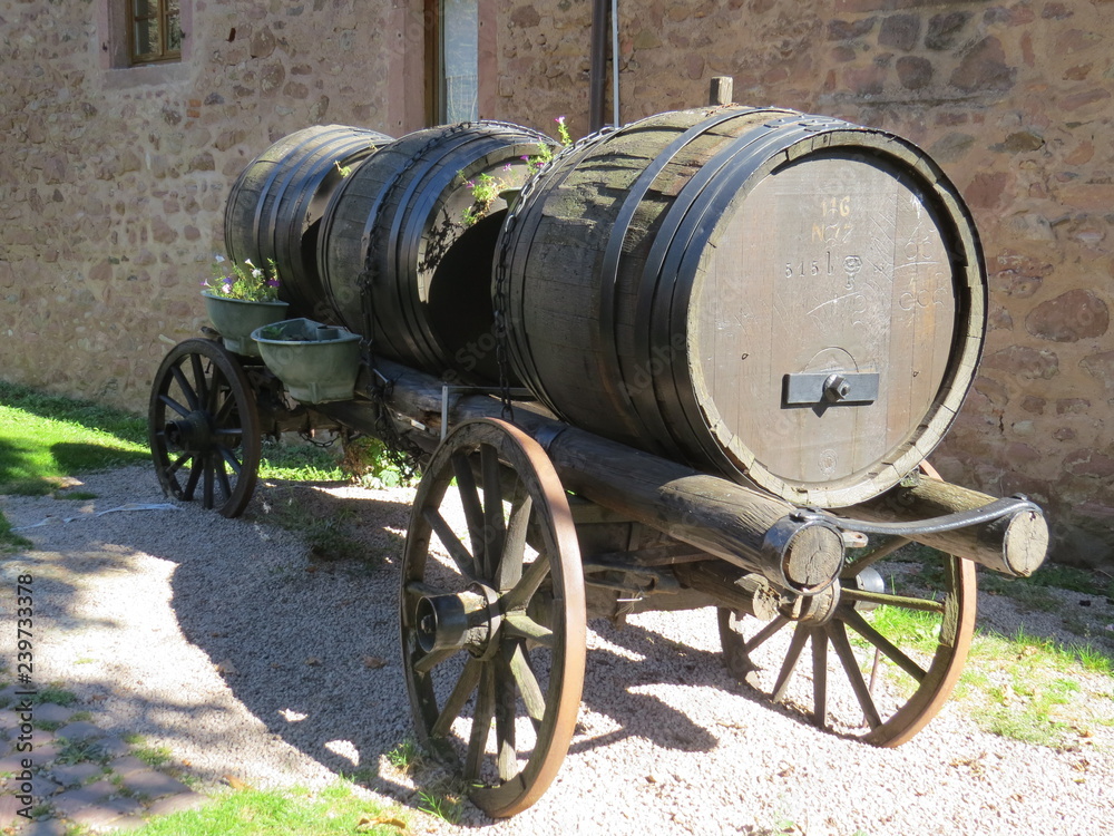 Barrel Wagon in Small Village in France