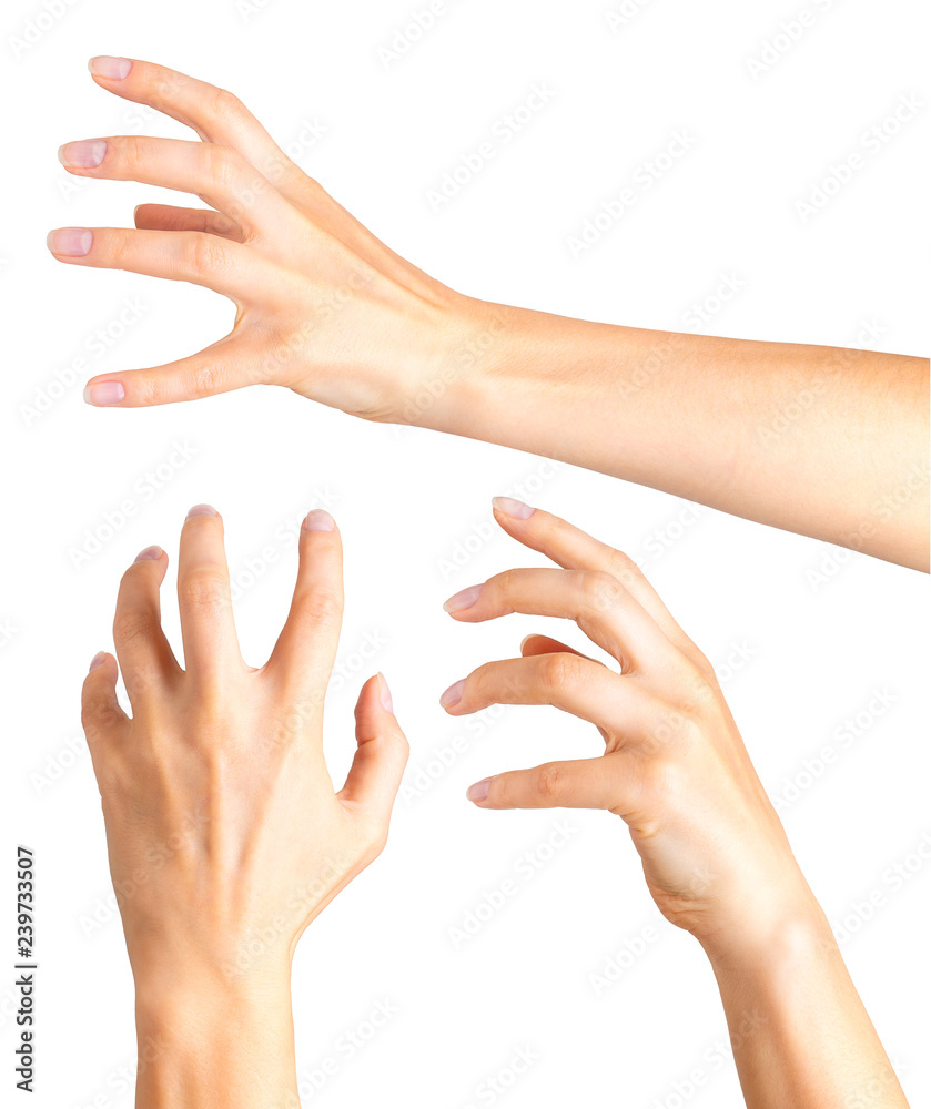 Woman hands with crooked fingers showing magic trick or holding ball Woman hands with crooked fingers showing magic trick or holding ball