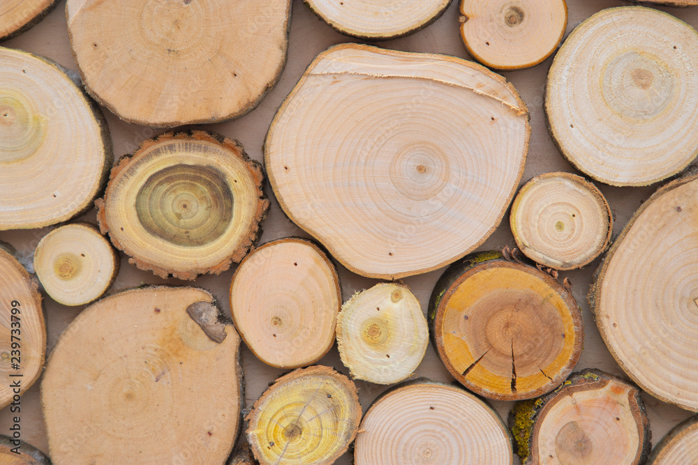 Stack of sawn logs. Natural wooden decor background. Stack of sawn logs. Natural wooden decor background.