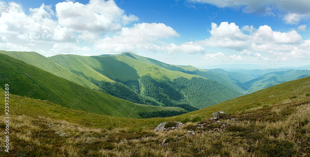 panorama with sunny day on top of green Carpathian mountains range with blue sky and low clouds on top, empty landscape background, high resolution