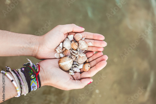 Manos con conchas y caracolas en el mar