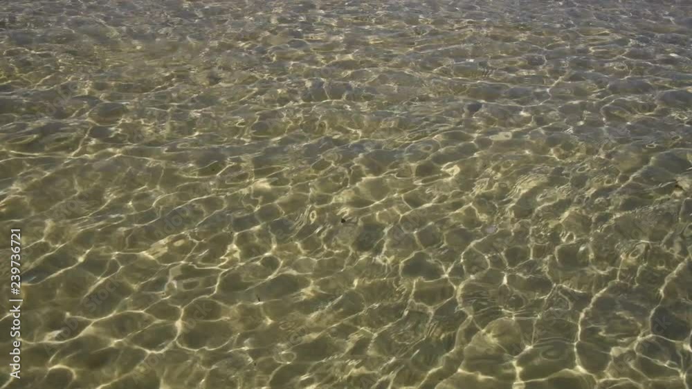 Clear water on a golden beach with beautiful refractions of sunlight on the underwater sand ripples Clear water on a golden beach with beautiful refractions of sunlight on the underwater sand ripples