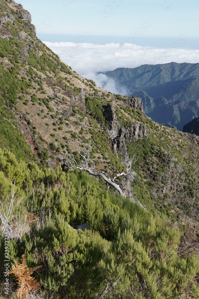 Pico Ruivo Madeira Portugal
