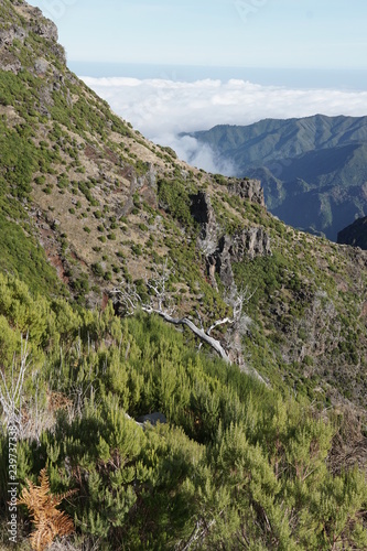 Obraz na płótnie Pico Ruivo Madeira Portugal w salonie