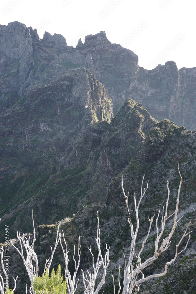 Pico Ruivo Madeira Portugal