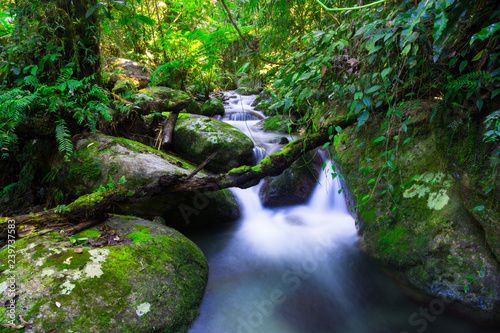 Wooroonooran National Park